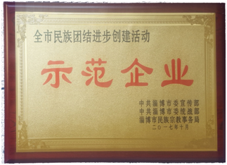 我公司被評為全市民族團(tuán)結(jié)進(jìn)步創(chuàng)建活動示范單位