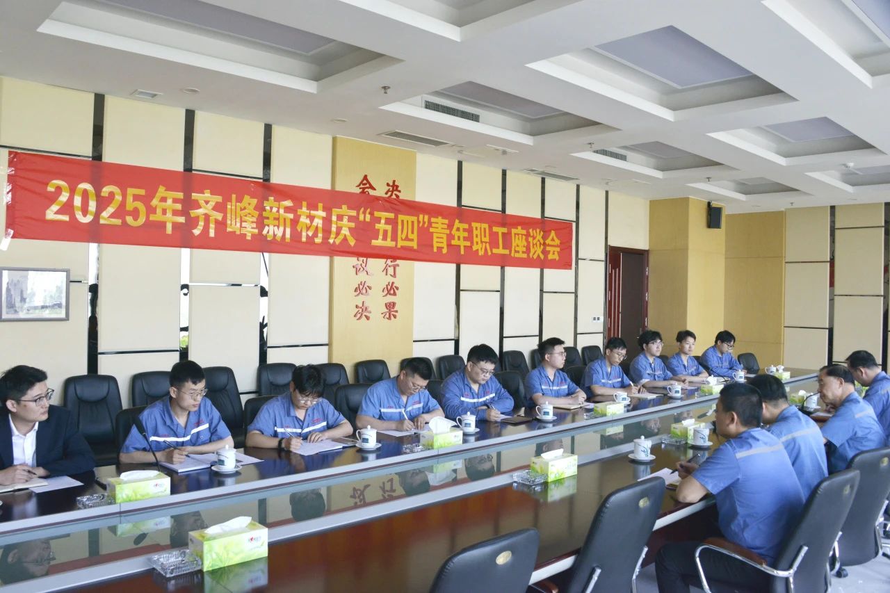 弘揚五四精神 綻放青春風(fēng)采——公司召開慶“五四”青年職工座談會
